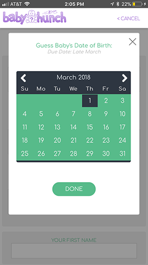 Snippet of the Date Picker